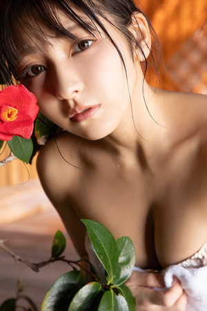守护解放西5